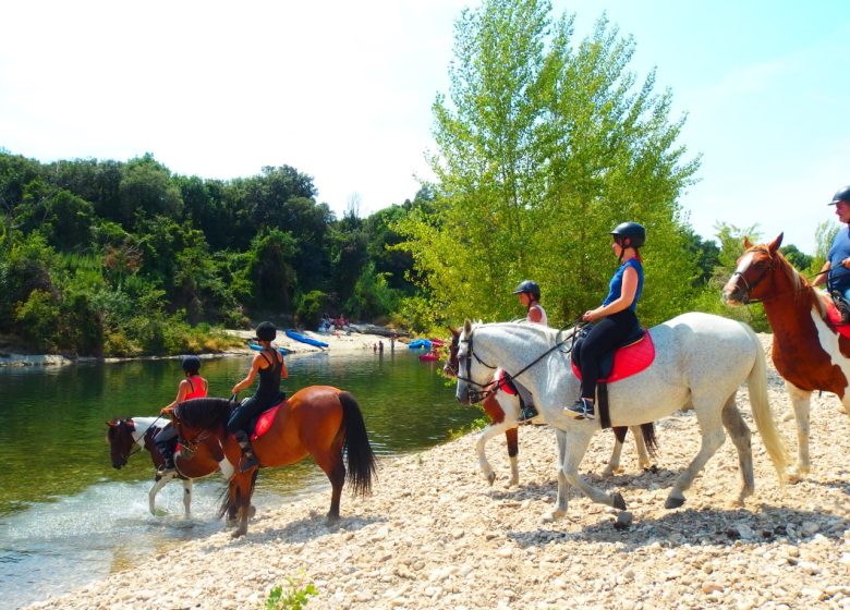 Centre équestre du Pont du Gard – Horse riding