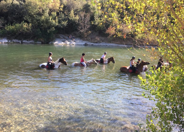 Centre équestre du Pont du Gard – Horse riding