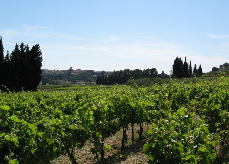 Domaine Gilphine Wine Estate